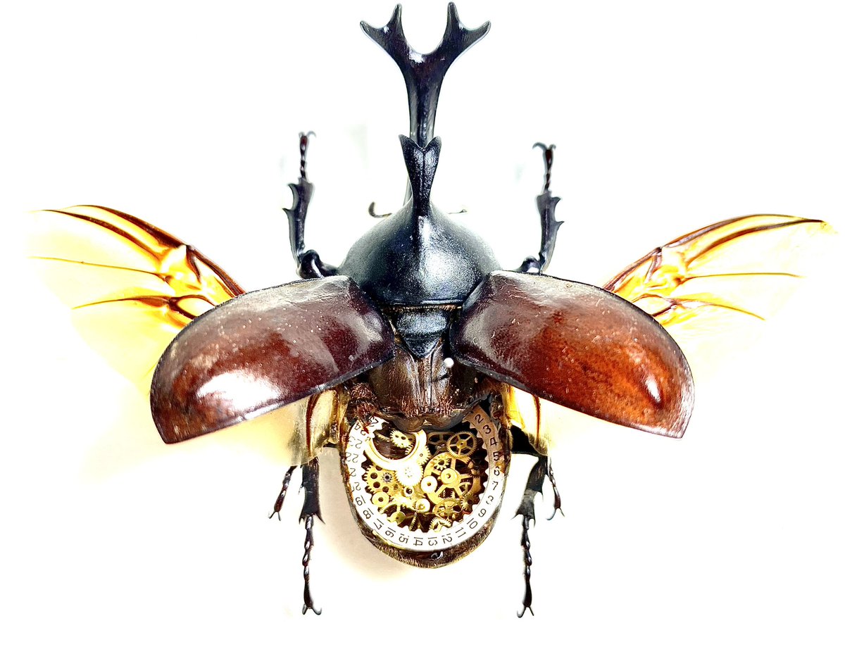 #一般ウケはしないけど自分は好きだなと思って欲しい
#過去作を擦りまくれ