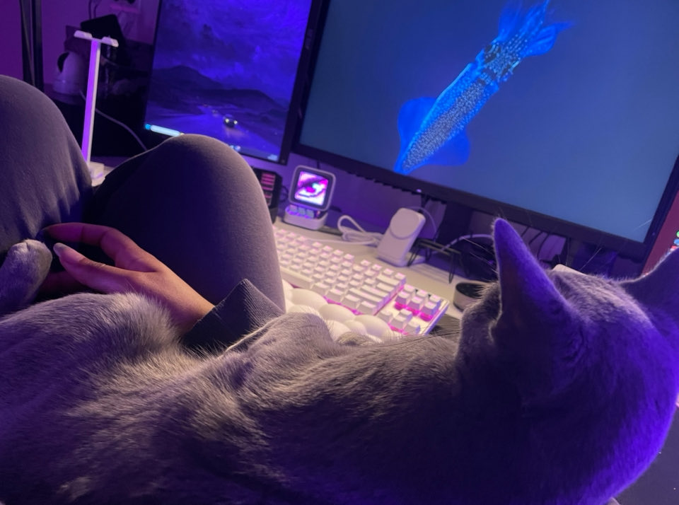 Good morning! ☺️