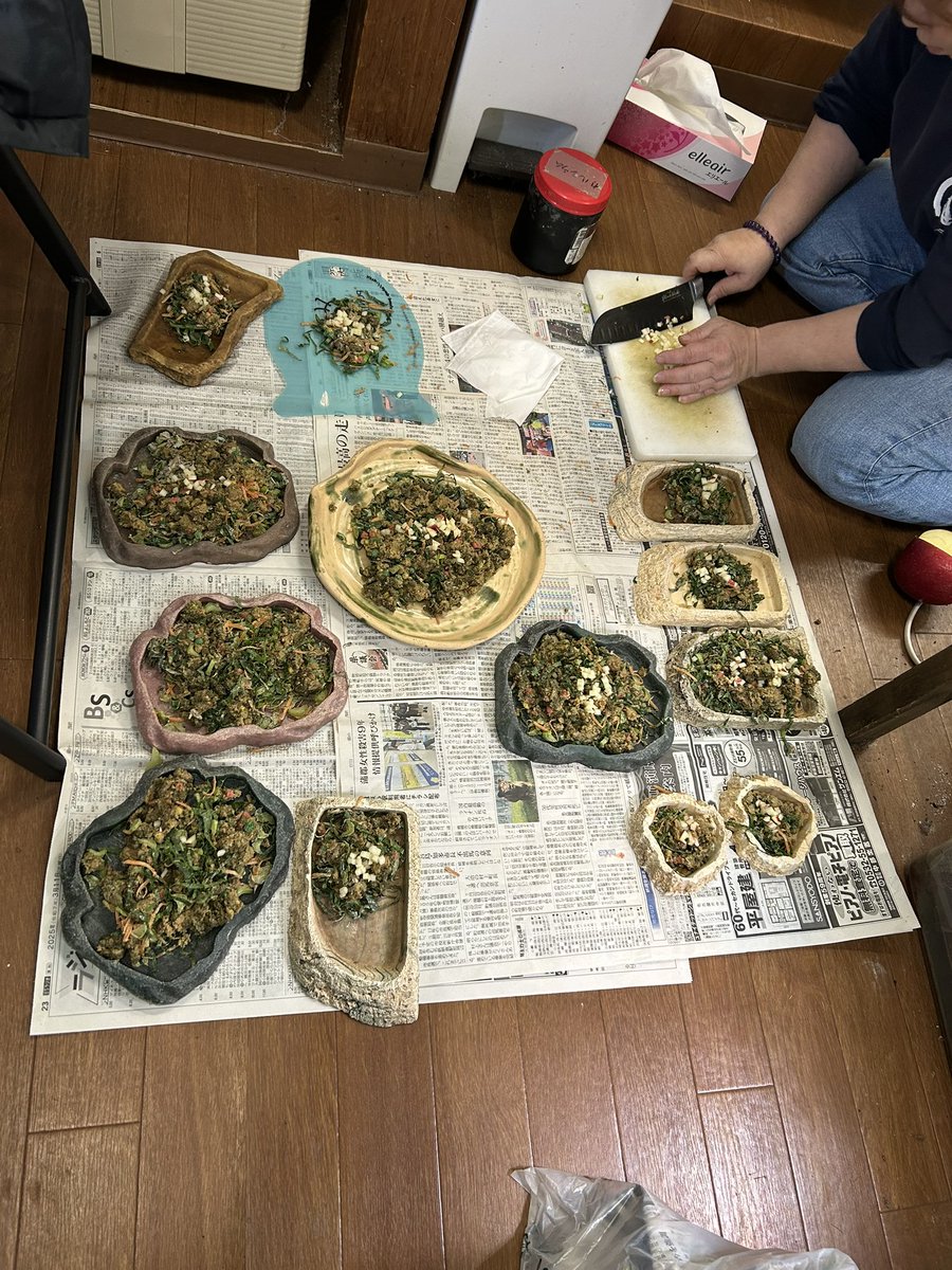 温室の爬虫類に餌を与えました。メニューは小松菜・人参・南瓜・林檎・人工飼料にカルシウムとミネラルとビタミン剤をかけて与えています。
みんな良く食べていて見ていて気持ち良いです。

＃亀太郎
＃爬虫類のいる生活