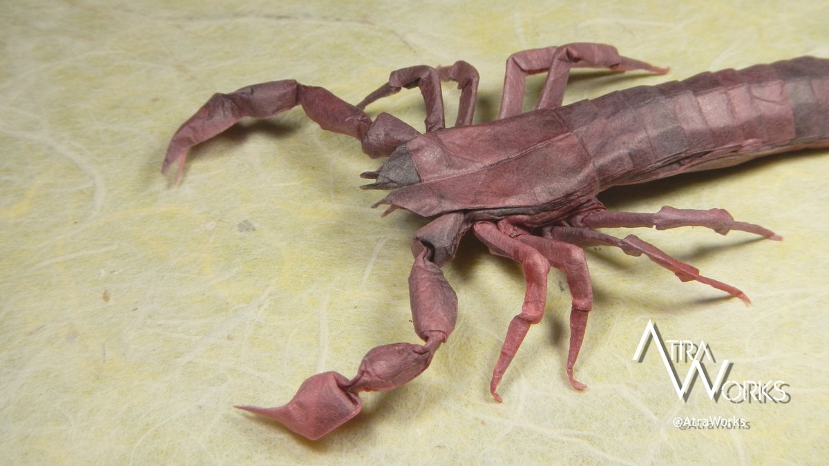 AtraWorks's tweet photo. [Origami / 折り紙 / 종이접기]
Pseudoscorpion v2.1, Opus 98
Designer: Alexander Nam Tran
Design Date: 2025-11-25
#origami #origamiart #origamiinsect #origamipseudoscorpion #折り紙昆虫 #折り紙作家 #カニムシ #折り紙カニムシ #종이접기곤충 #종이접기예술가 #종이접기앉은뱅이 #앉은뱅이 https://t.co/moVoxPD3t9