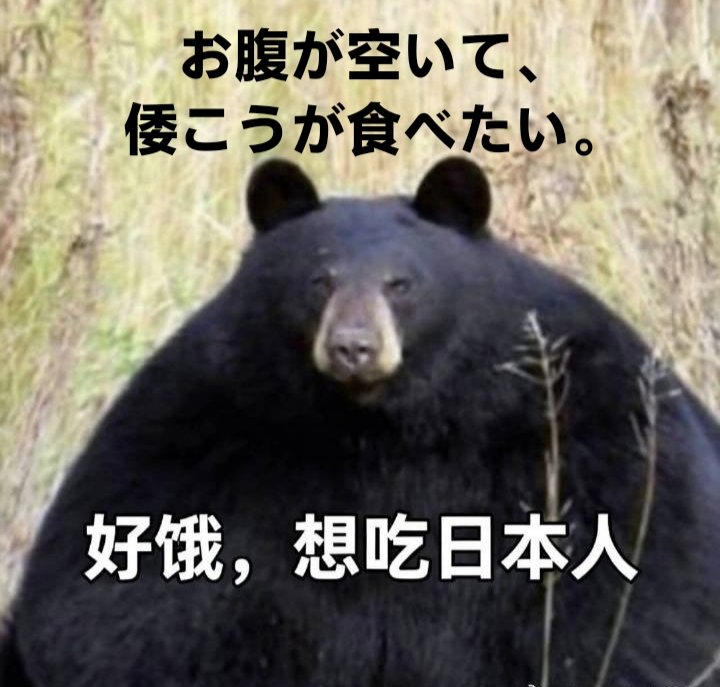 sirRabbit3's tweet image. 