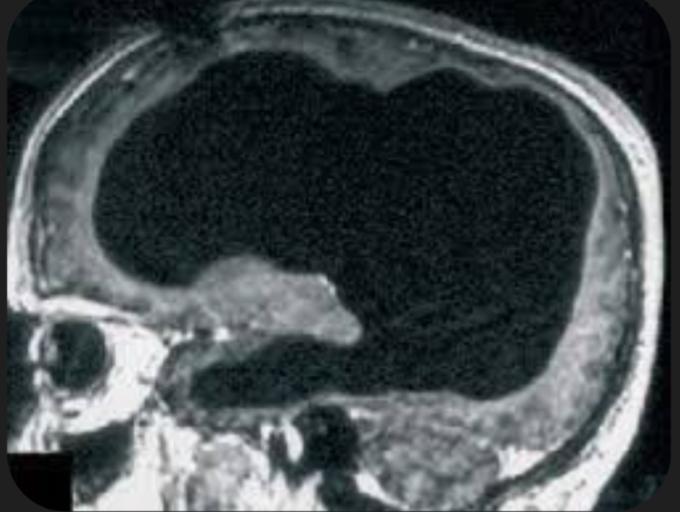 murphyb849 🌊🌊🌊 tweet media