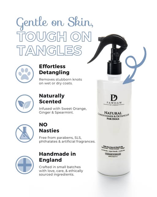 PawdawofLondon's tweet image. Fluffy-coat owners, it’s time to tackle those knots! ✨
Our Natural Conditioner &amp;amp; Detangler makes brushing wet or dry fur super easy — and keeps coats looking gorgeous. 🐾
Try it now👇
 pawdawoflondon.com/.../natural-co…
#naturalingredients #doggrooming #pawdawoflondon #ukdogs