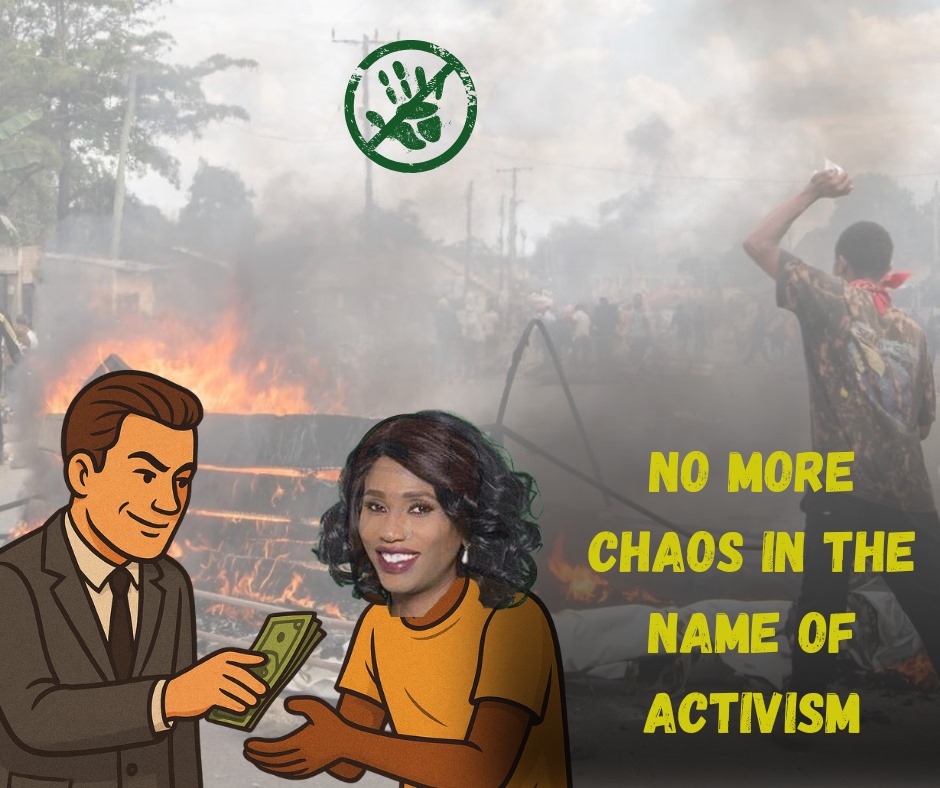 m_c_3_3's tweet image. Democracy isn’t for sale. Reject those who profit from chaos and Safeguard Democracy. #StopPaidActivists #PeaceNotPaidProtests