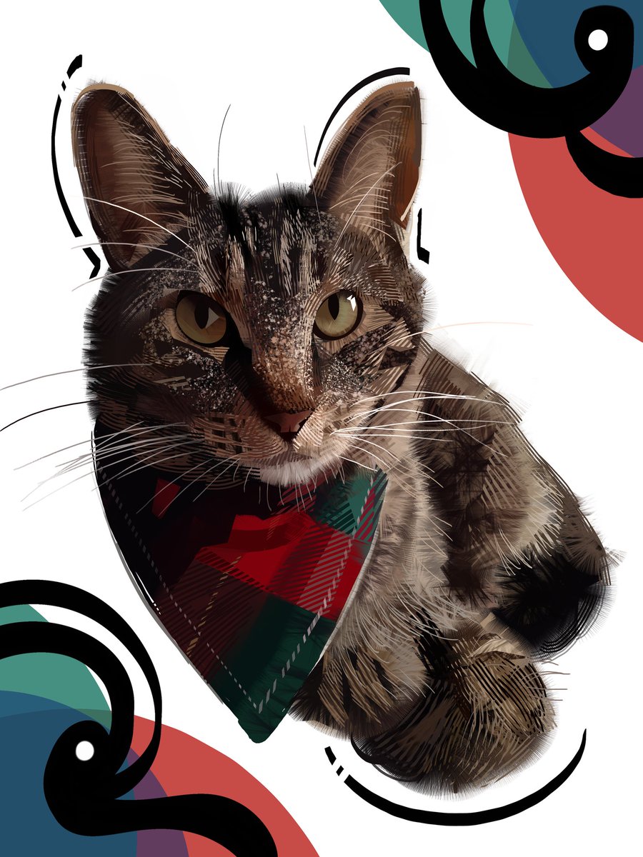 NateDHernandez's tweet image. plaid