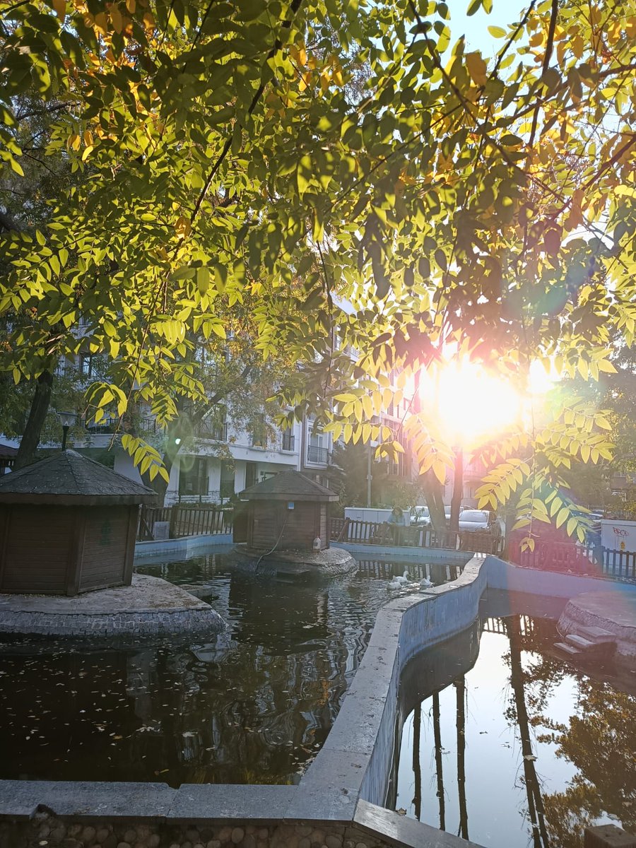 Güneş doğdu, hayat çoktan başladı
Güneş doğmadan önce uyananları melekler hep birlikte alkışladı.
S. Güneş
#Cuma