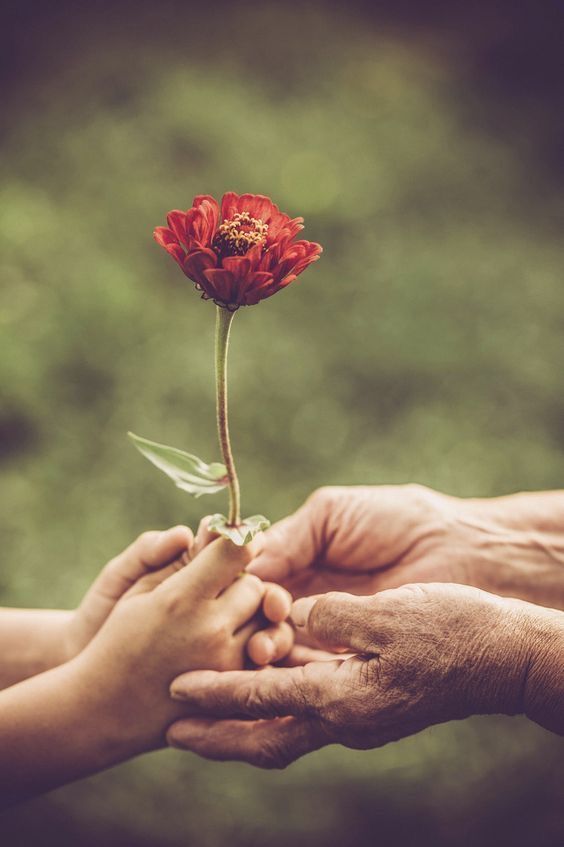 BeaumontBee's tweet image. Oday needs a helping hand. Please help him. 🙏🍉
#donate #share