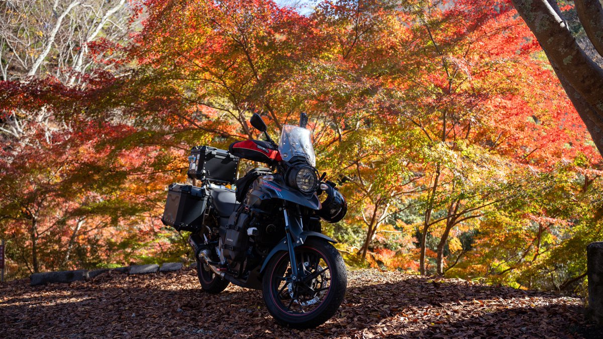 紅葉ツーリングに行ってきました🏍 まずは もみじロード🍁