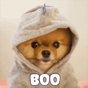 BDO buyer【110634.com】.flu