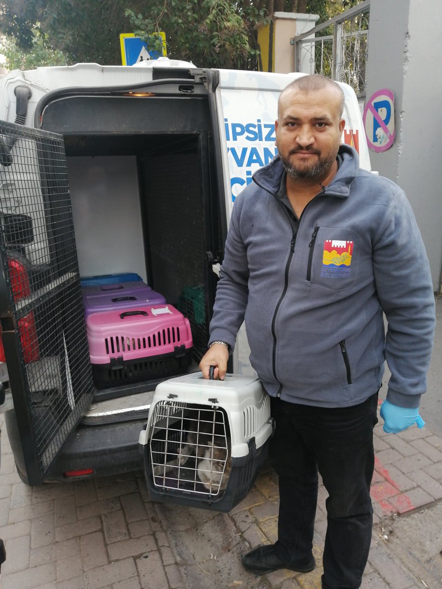 Bugün sokağımızda hasta olan bir kedimizi daha emin ellere teslim ettik. Her zaman olduğu gibi bir telefonla hızır gibi yetişti ekibimiz. Ayağınıza taş değmesin <a href="/omerrarisoy/">Ömer Arısoy</a> <a href="/zeytinburnubld/">Zeytinburnu Belediyesi</a> <a href="/CihanKaba19/">Cihan Kaba</a> Baş tacısınız 🤲🏻💐👑 #HayırlıCumalar 
#Zeytinburnu