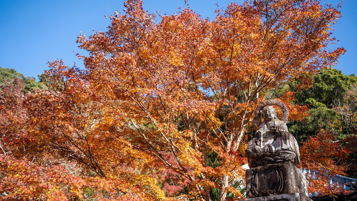紅葉ツーリング② 小松寺🍁