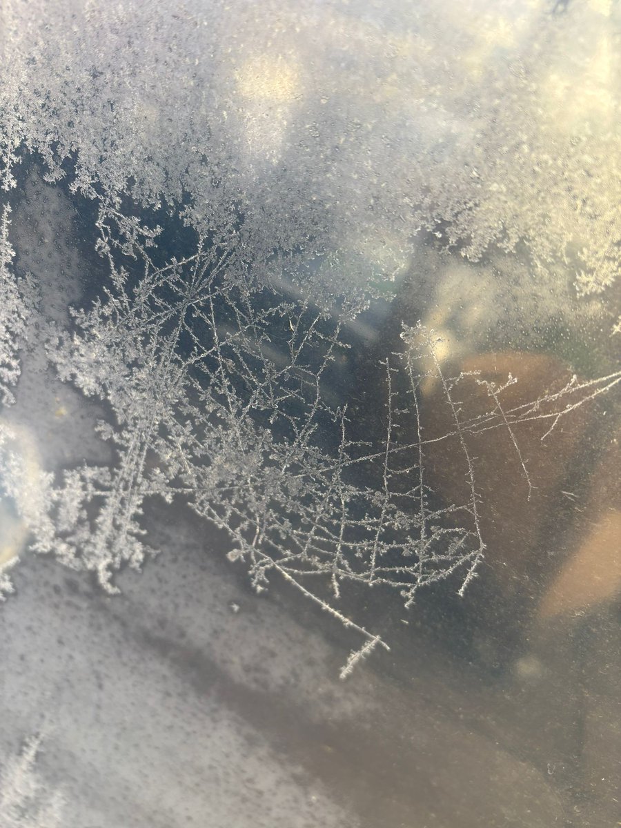 The garden sparkles in its icy coat ❄️ 

The gift that keeps on giving - thank you, mother nature 🙏 

#GreenSpacesFund #SowTheCity <a href="/gme_trust/">Greater Manchester Environment Fund</a>