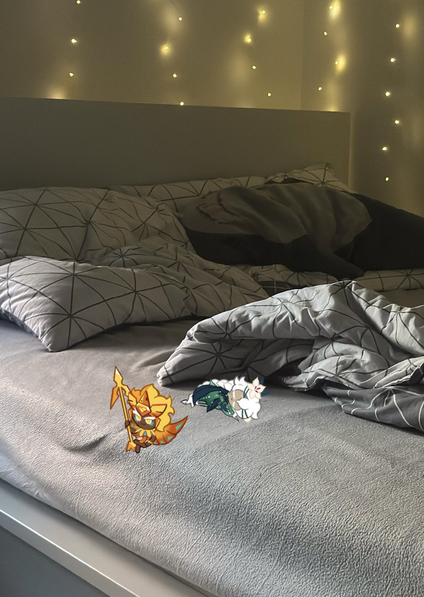 dailygoldenlily's tweet photo. do any of my followers happen to be knowledgeable on bugs? i found these two in my bed and i don’t recognise them at all https://t.co/RWwJE8iLxC