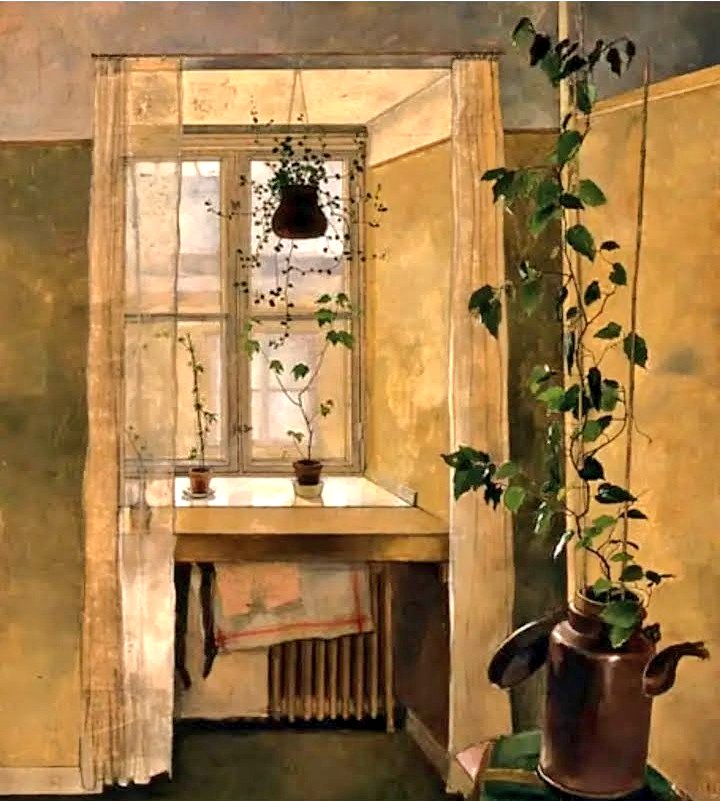 Lucilla Giannotti🧜 tweet media