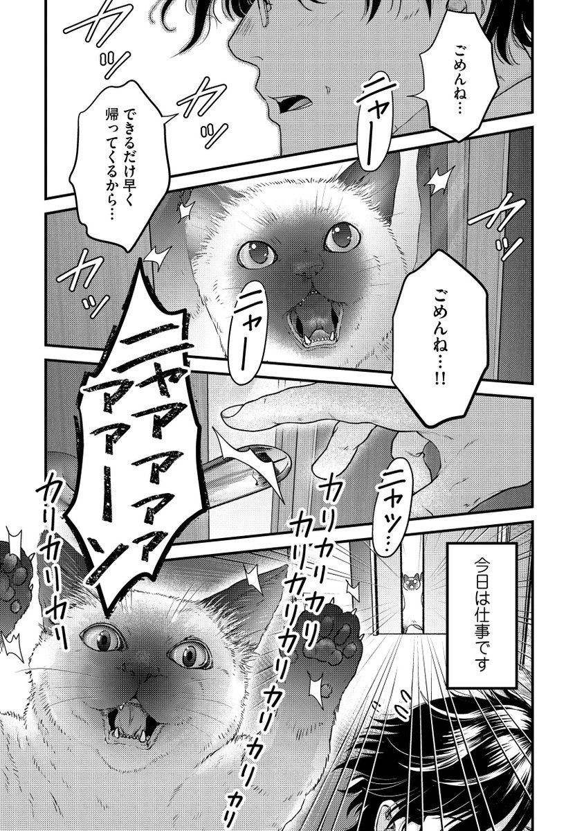 「灰かぶりおじさんと猫王子」
本日4話更新です!🐱✨
4話目にしてやっとおじさんのフルネームが…?(2枚目のCOMICポルタ様のポストからどうぞ!)