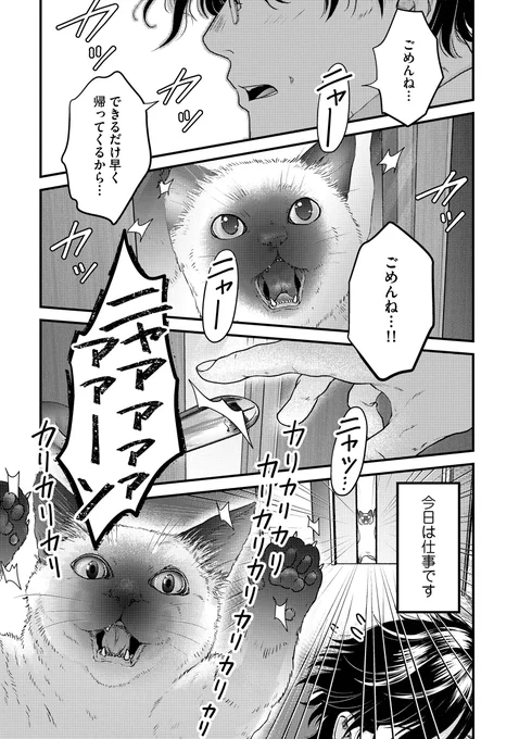 「灰かぶりおじさんと猫王子」
本日4話更新です!🐱✨

4話目にしてやっとおじさんのフルネームが…?(2枚目のCOMICポルタ様のポストからどうぞ!) 