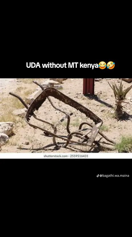 M.K93 tweet media