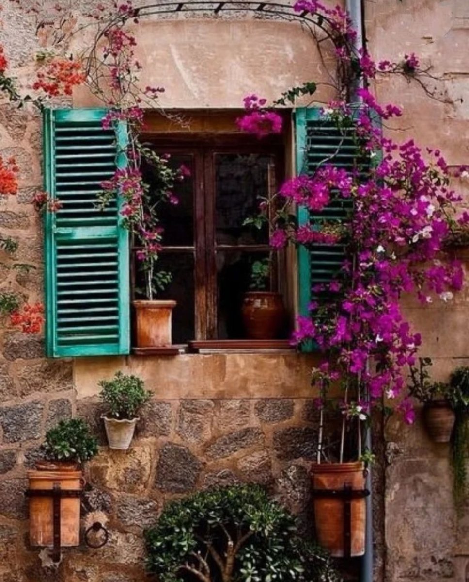 pantelischio's tweet image. #Doorsandwindows