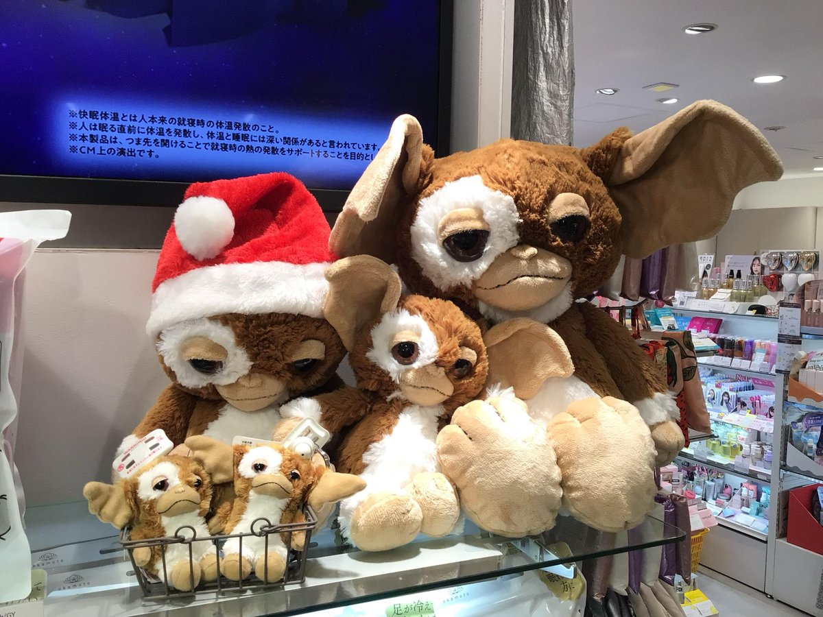 カラーフィールド様でギズモのPOPUP開催中です！ ぜひお立ち寄り