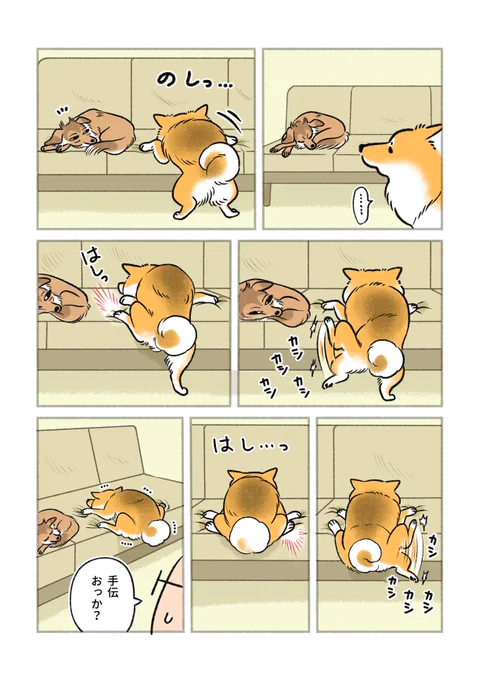 もうひと踏ん張り 