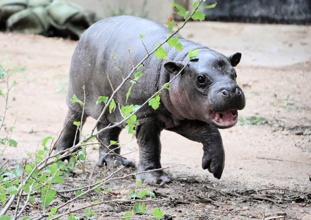 Momma caught me sneaking downstairs for midnight leftovers 

$MARS 

Cfmo6asAsZFx6GGQvAt4Ajxn8hN6vgWGpaSrjQKRpump
