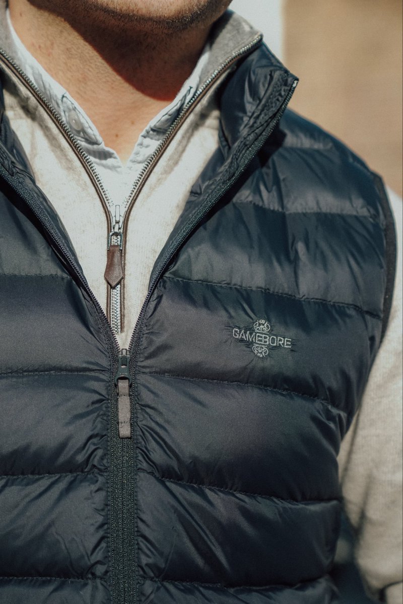 Gamebore Cartridges tweet media