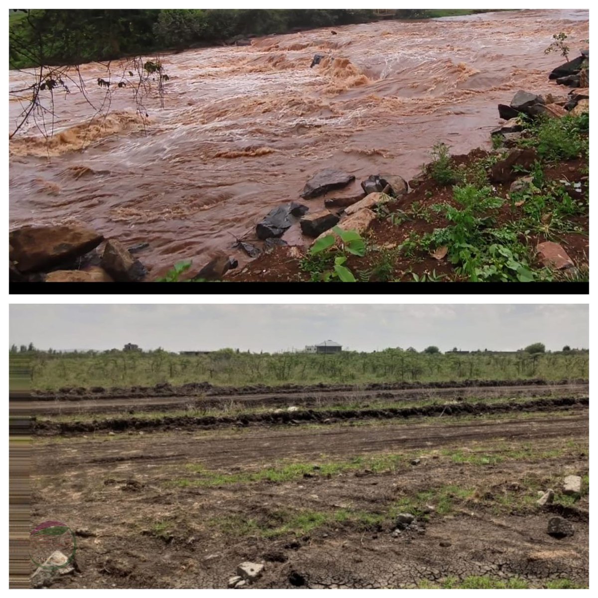 tassellsfarmltd's tweet image. A huge percentage of our Kenyan land is thirsty, yet when rains come, it floods.
Innovation in food production isn’t optional anymore. From water reservoirs to precision agri-tech, the time is now!

#Agribusiness #DairyFarming #AgriTech #KenyaAgriculture poultry