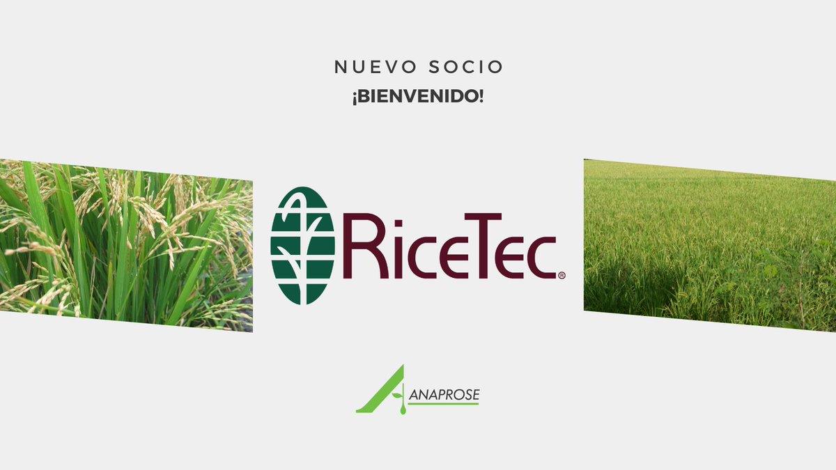 ¡Damos la bienvenida a <a href="/ricetec/">TheRiceTec</a> como nuevo socio de Anaprose! Seguimos fortaleciendo el sector semillero con actores que apuestan a la innovación, la tecnología y el desarrollo sostenible.