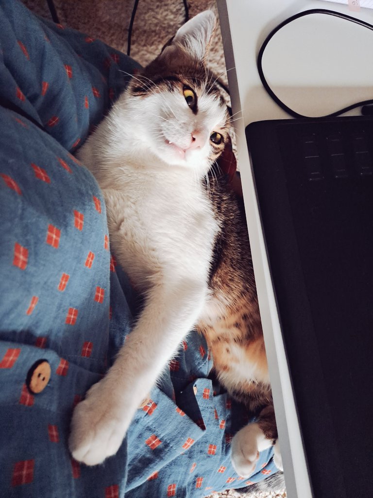 Днищебродский tweet media