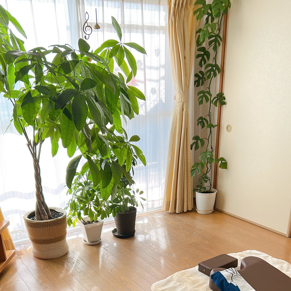 h_i_r_o_m_i_'s tweet image. 【喘息✖️気功整体】
入院経験のある成人喘息のお客さま。今は体調・数値ともに良好で気温差や悪天候でも発作なく過ごせています。秋冬は悪化しやすい季節なのに、ここまで安定しているのは本当に嬉しいことです。これからも元気に過ごせるよう精一杯お手伝いしますね✨