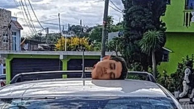 Bort ⚡️ tweet media