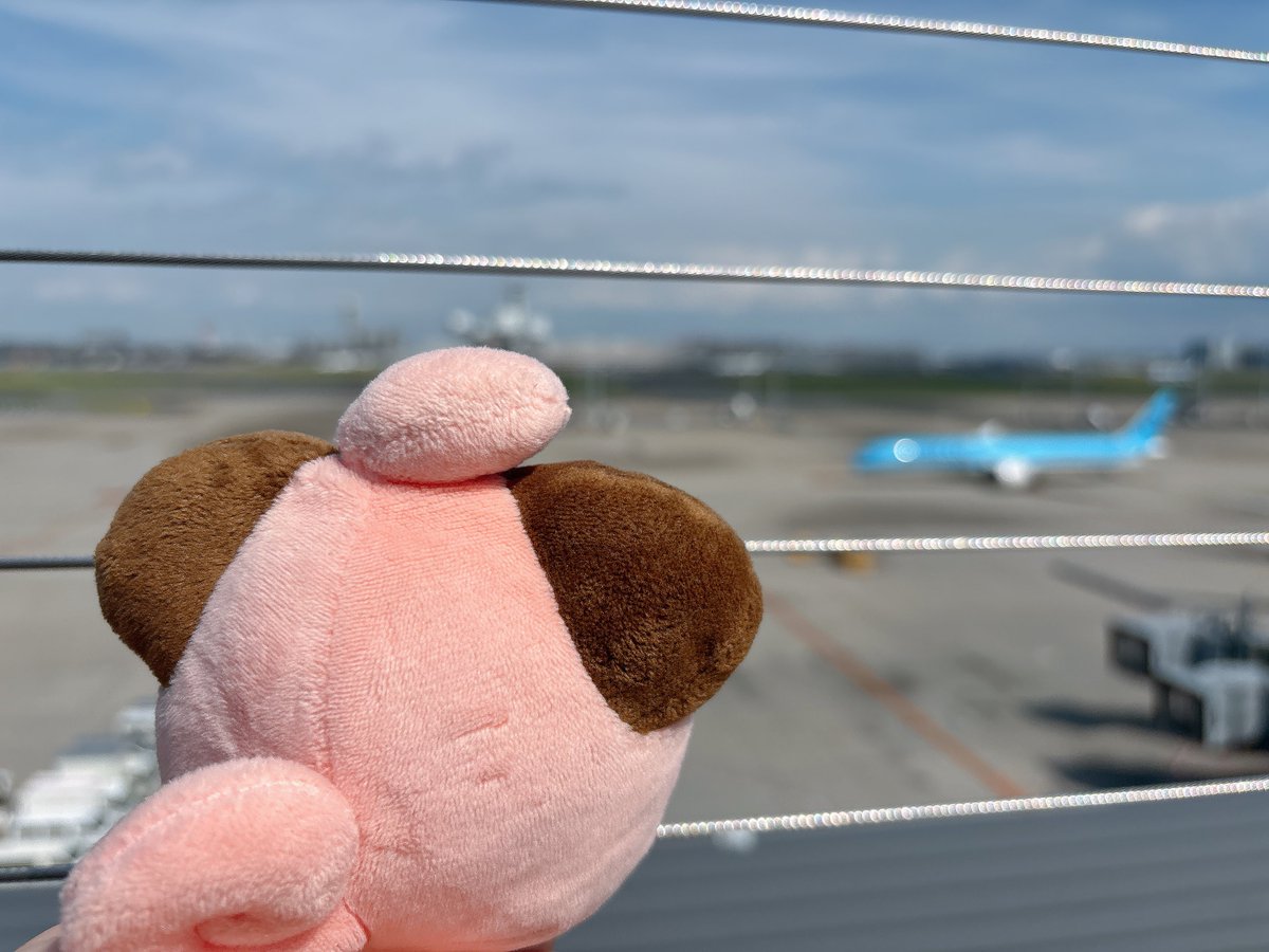 飛行機大好き男の子ピィちゃん✈️