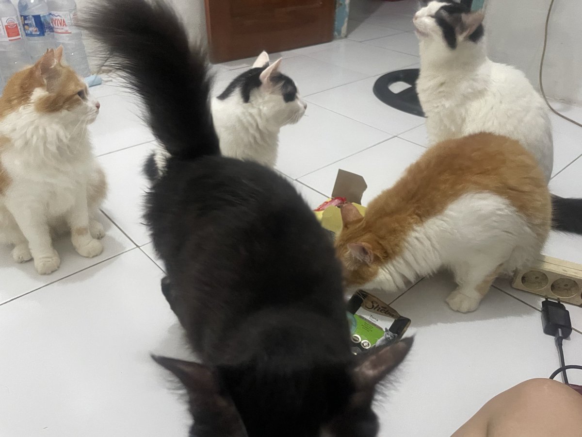 Dah sampaiii hadiah gipeway ultah bude nanas yang ucuuul. Terima kasih banyak🩷🎀🤍