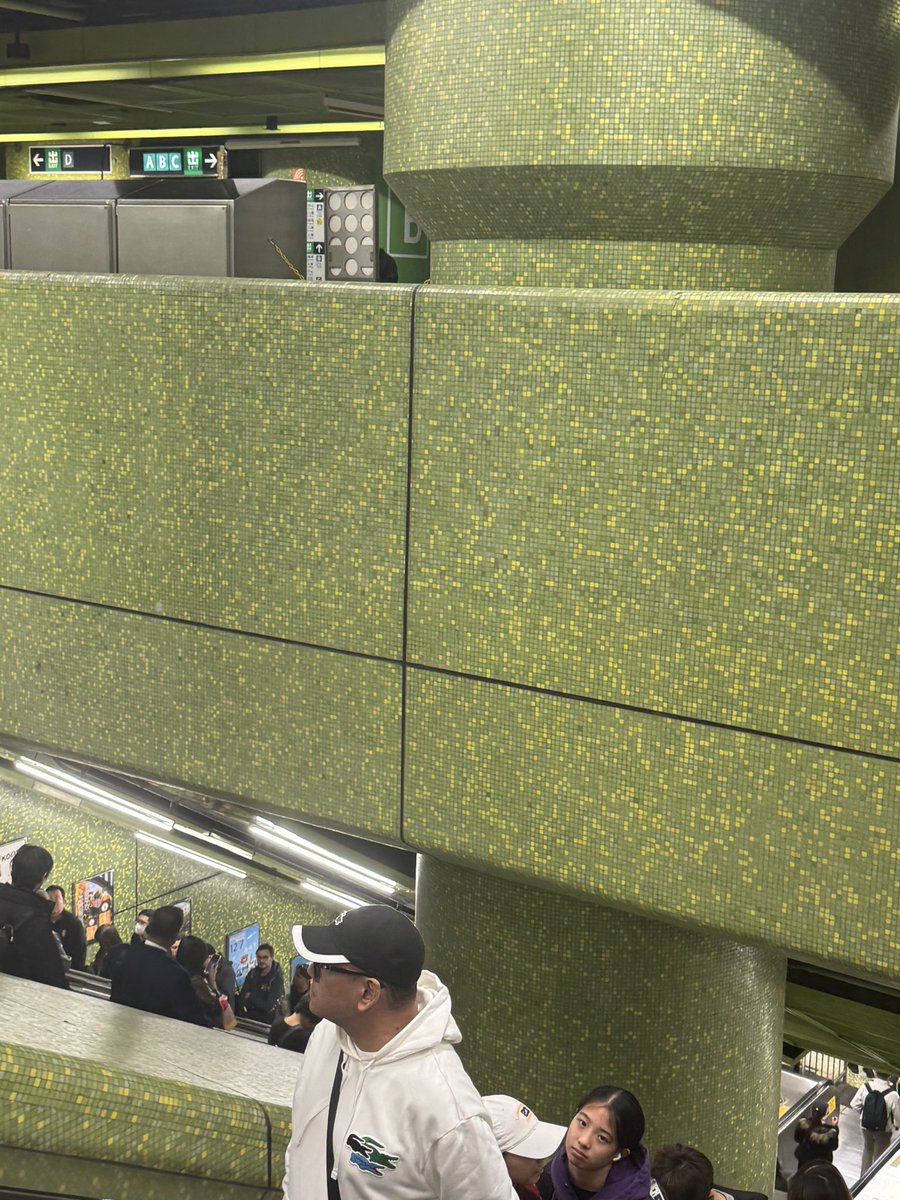 tomas ✨ tweet media