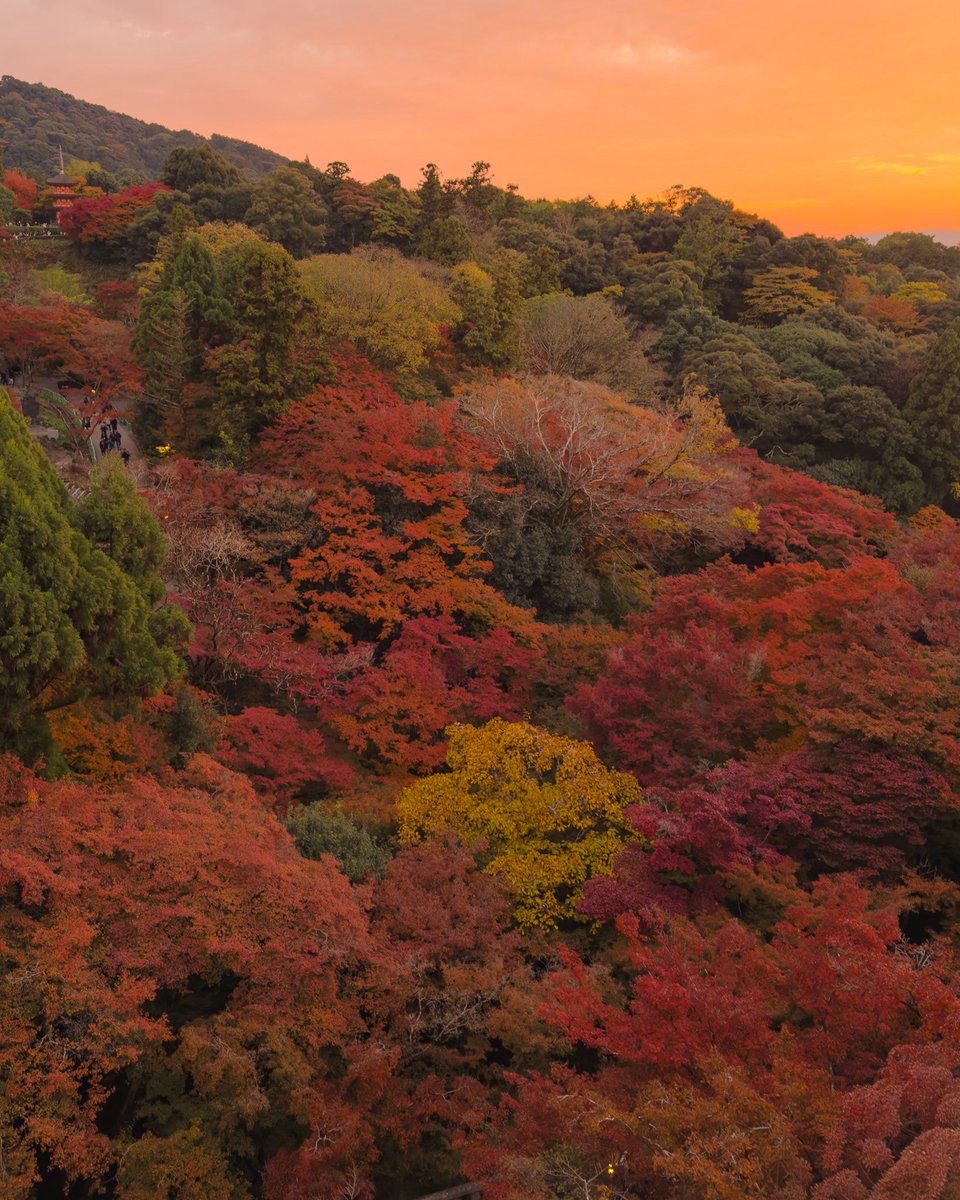 hello dongwon tweet media