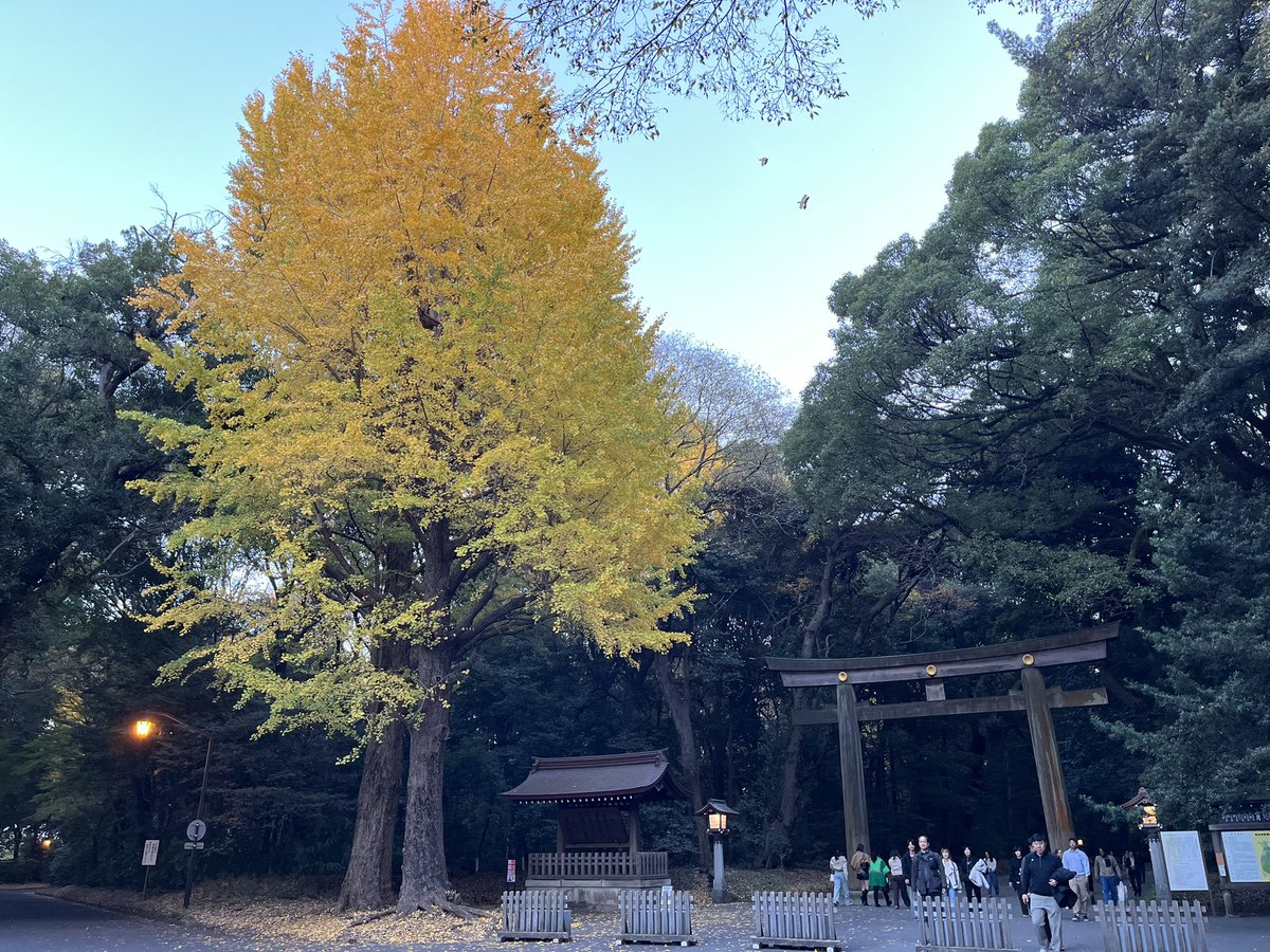 kae00000's tweet photo. 本日はこちら
最前は見る方も緊張した🫨見切れ近かったけど上手だったので私的に慣れた感じでよく見えたー！
そして
よく考えたら久々に書くなX https://t.co/DR5fEYh3NF