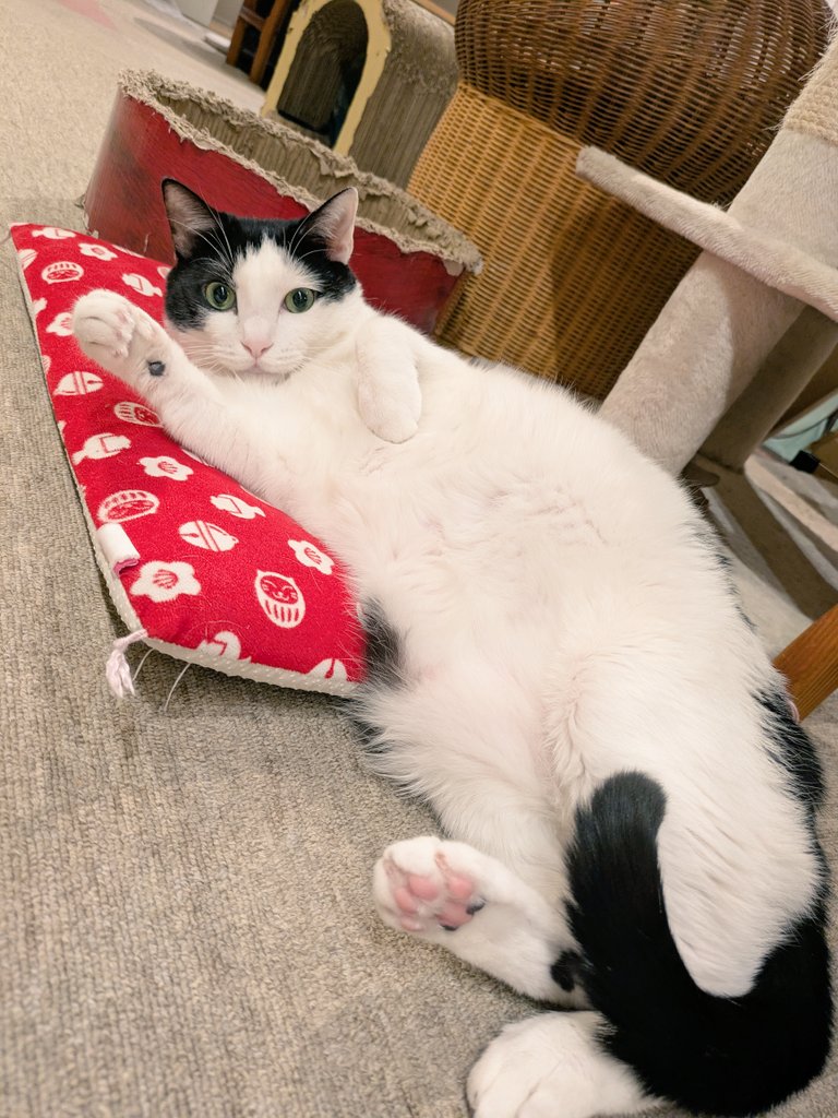 今日はゲボほど暇でした。 唯一の救いは30分だけ来たJKがキャッキャッ 