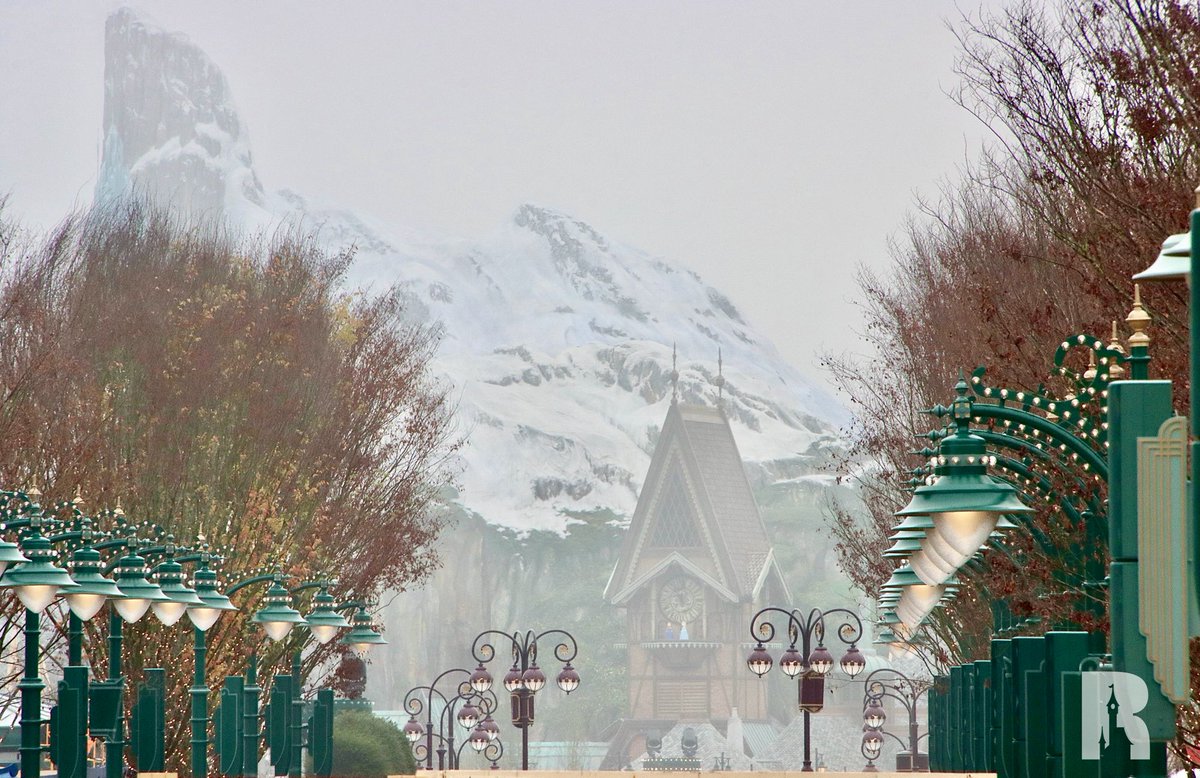 DLP Report tweet media