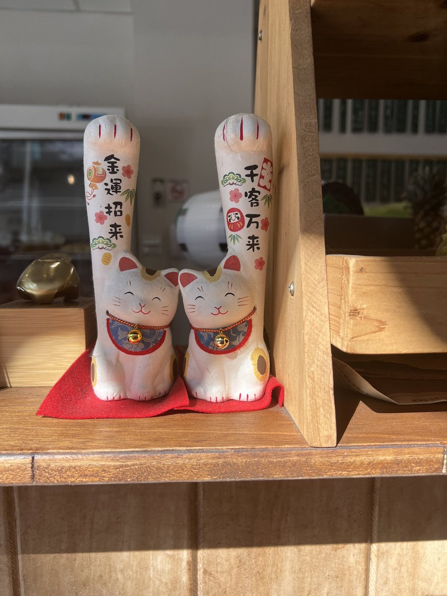 だるま (@da11m) / Posts / X