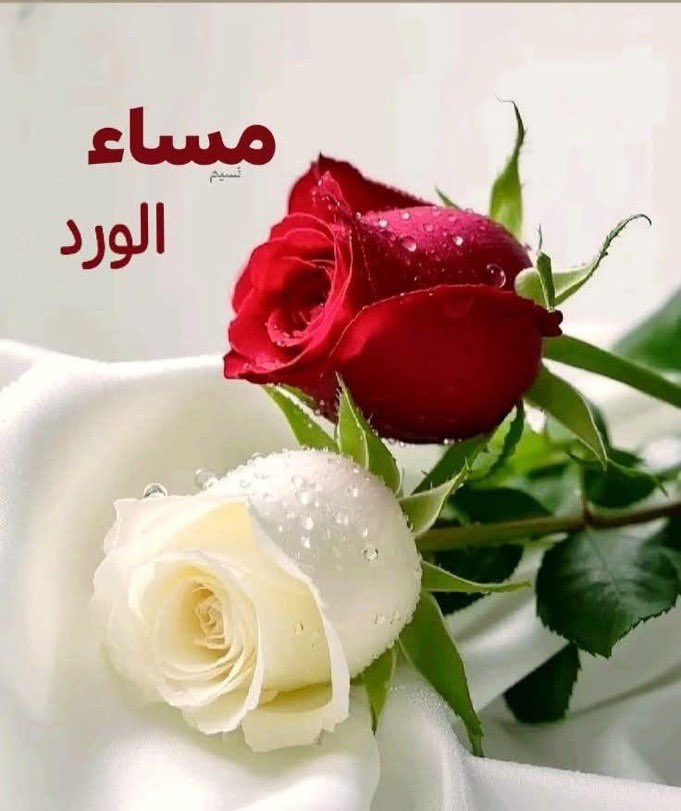 <a href="/Abdullah_Sh1414/">عبـــــــــود</a>