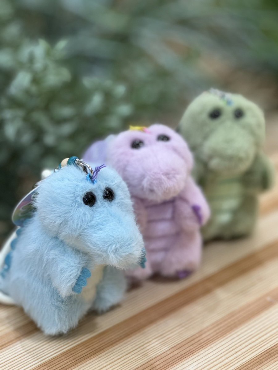 matsuo_isono's tweet image. 仕事終わりに今日発売の新作ワーリーをお迎えに行ったよ🐊
友達のパプリー、レイリーと一緒に
小さくて毛並みがパヤｯｯパヤで可愛いね

うちの子控えめでボケてる🤣
#ワーリー