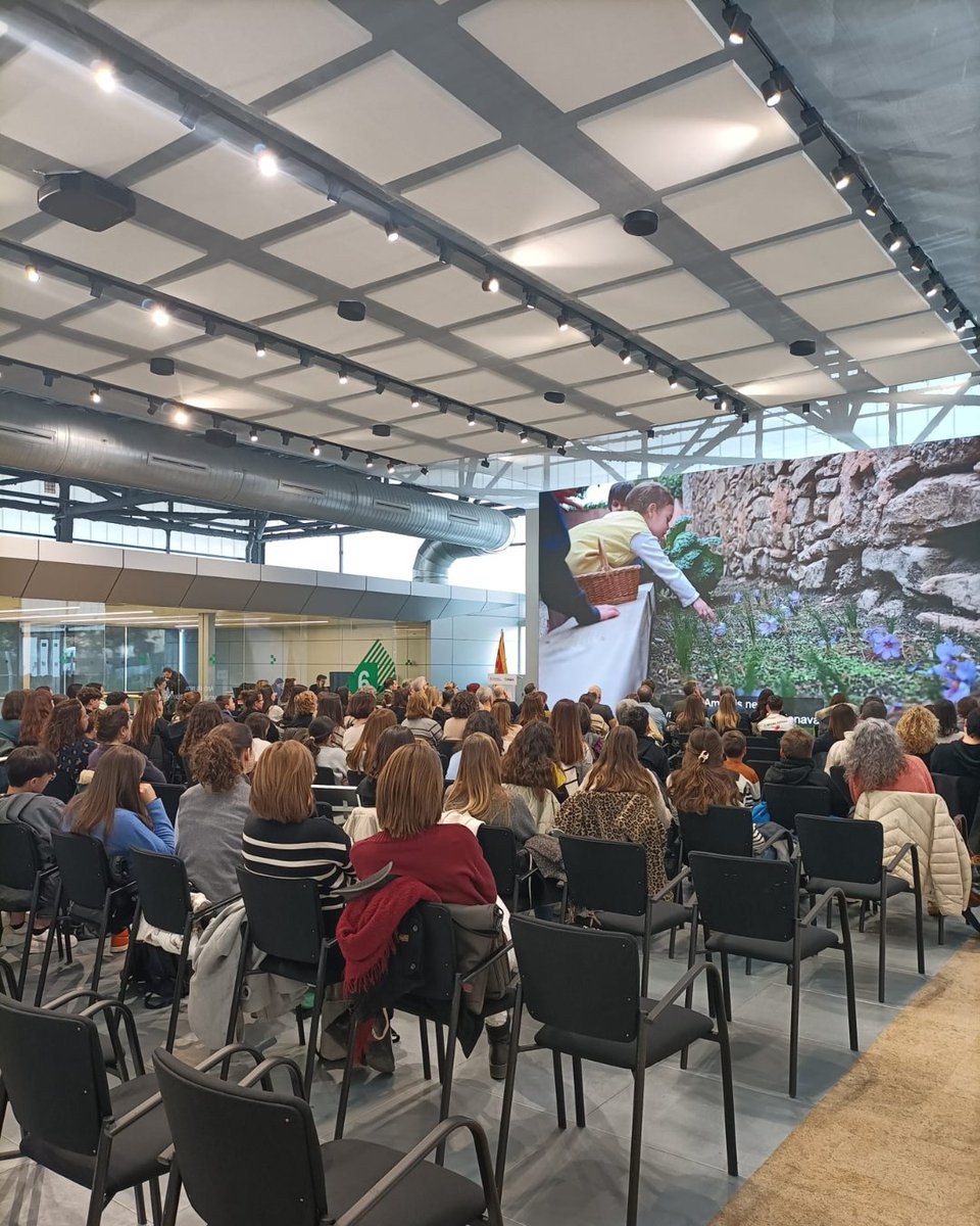 escolesverdes tweet media