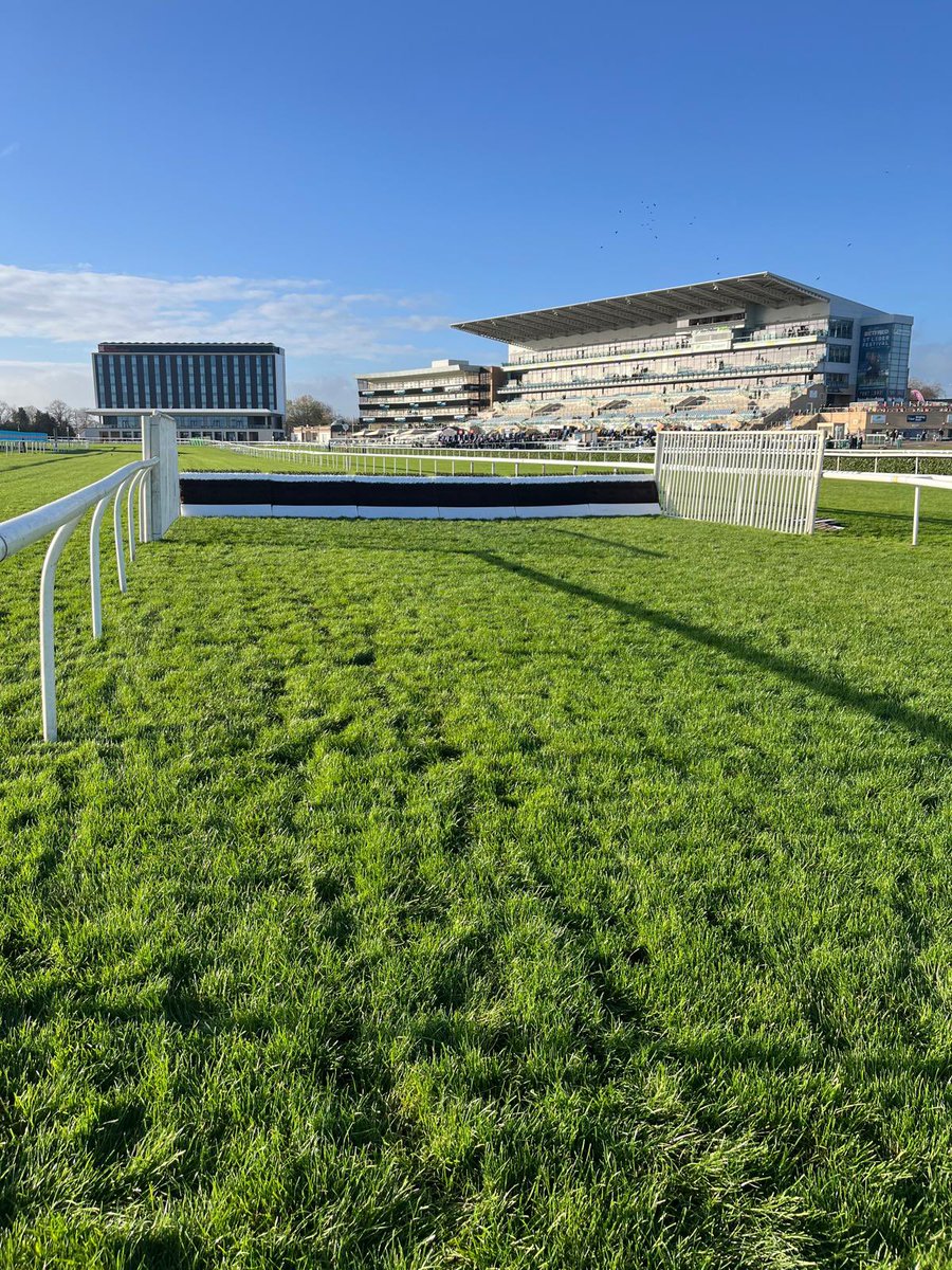 EASYFIX Equine tweet media