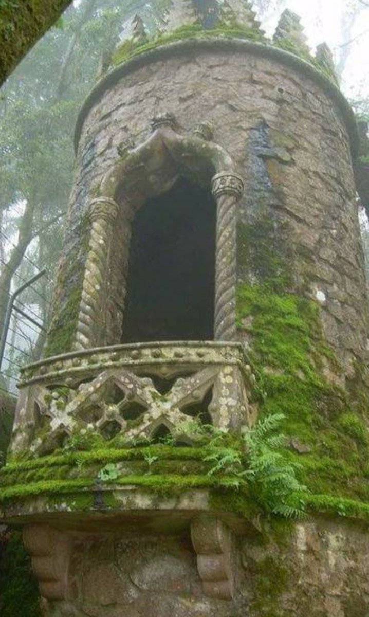 GOBLINC0RE's tweet image. 