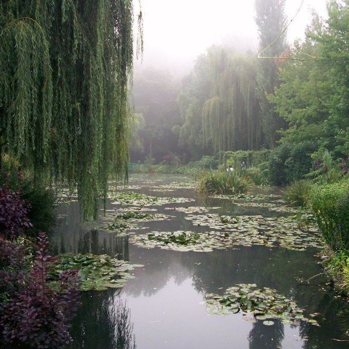 GOBLINC0RE's tweet image. 