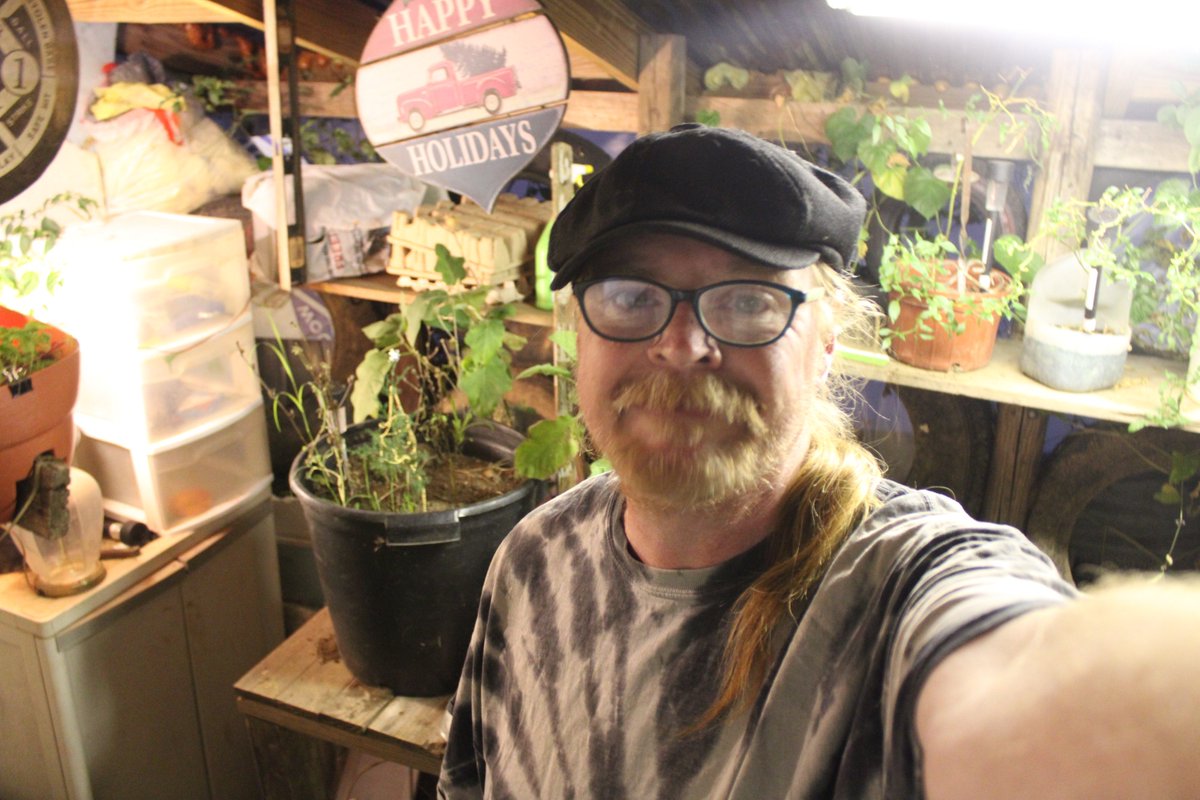 docsanderson's tweet image. #Scientists #Botany #Transdimensional #Tesserac  #Arboretum #Vendetta @esa @Ginger_Zee @Nature G Mags, spent morning working on #ChristmasTree in the #Laboratory When People piss off the #1 #Murderer ever to live as #DISNEY #ABC #GMA #GlamFlam have.i do research on them - Alfred