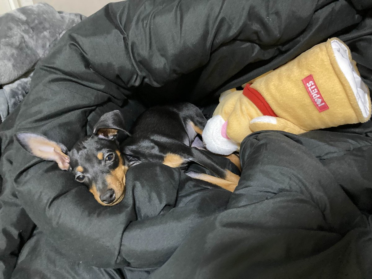 ポンコツ太郎 (@ponkotutarou00) / Posts / X