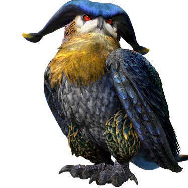 miigo_Nazuti_MH's tweet image. 4大メインモンスターとオストガロアの影に隠れがちだけど貴重なX産のモンスター

推しです
MHST3に来ないかな…