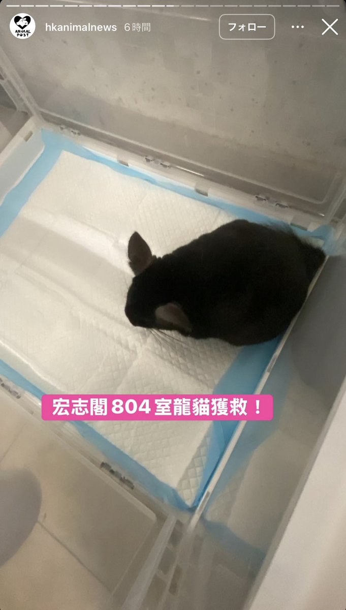 めいこ (@mei0555) / Posts / X