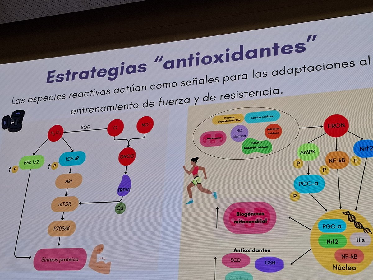 ComillasCHS tweet media